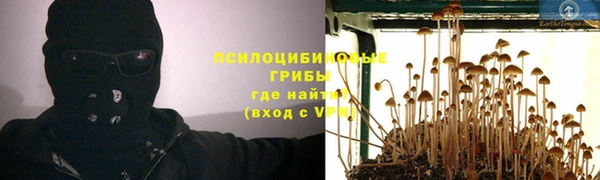 героин Алзамай