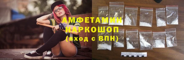 мет Алексин