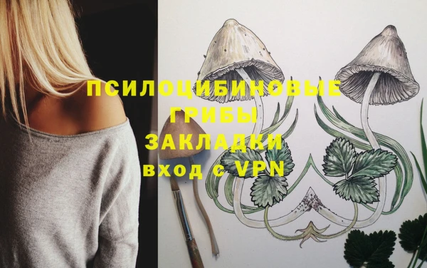 мет Алексин